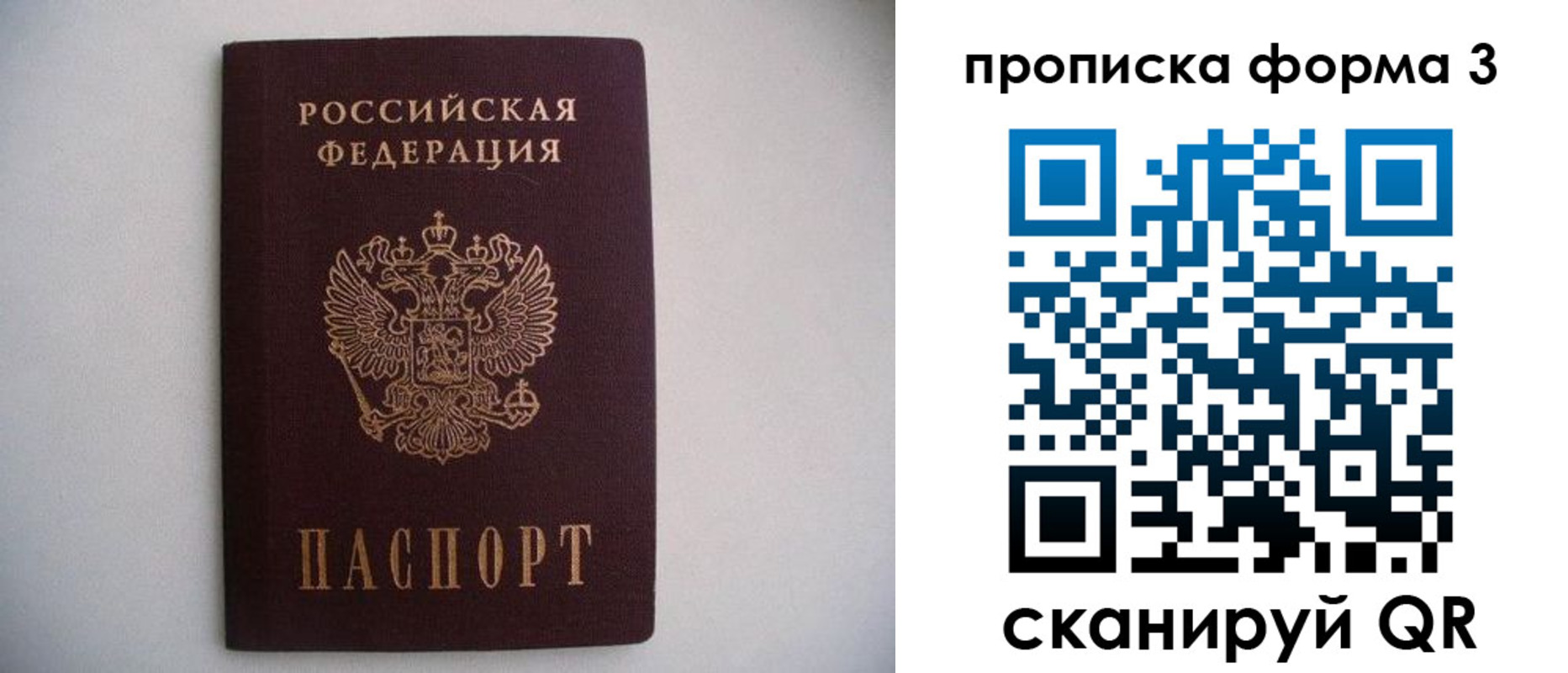 прописка в Каргополе